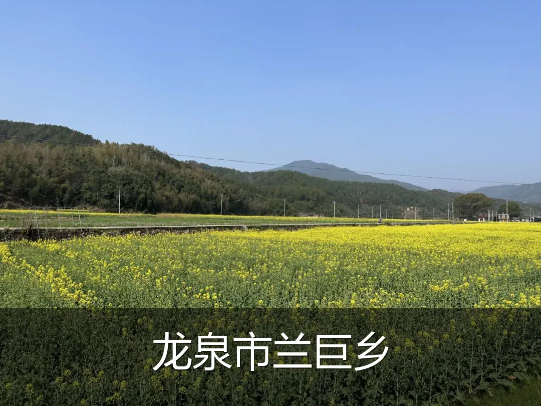龙泉市兰巨乡