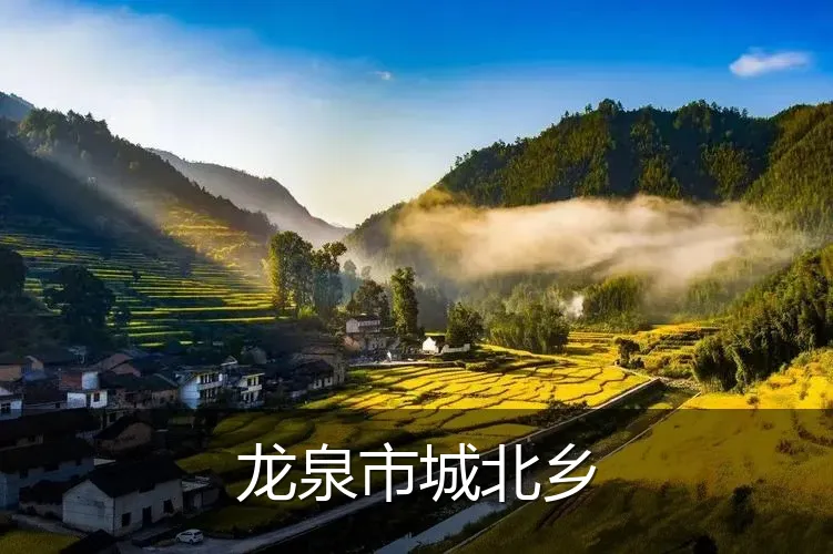 龙泉市城北乡