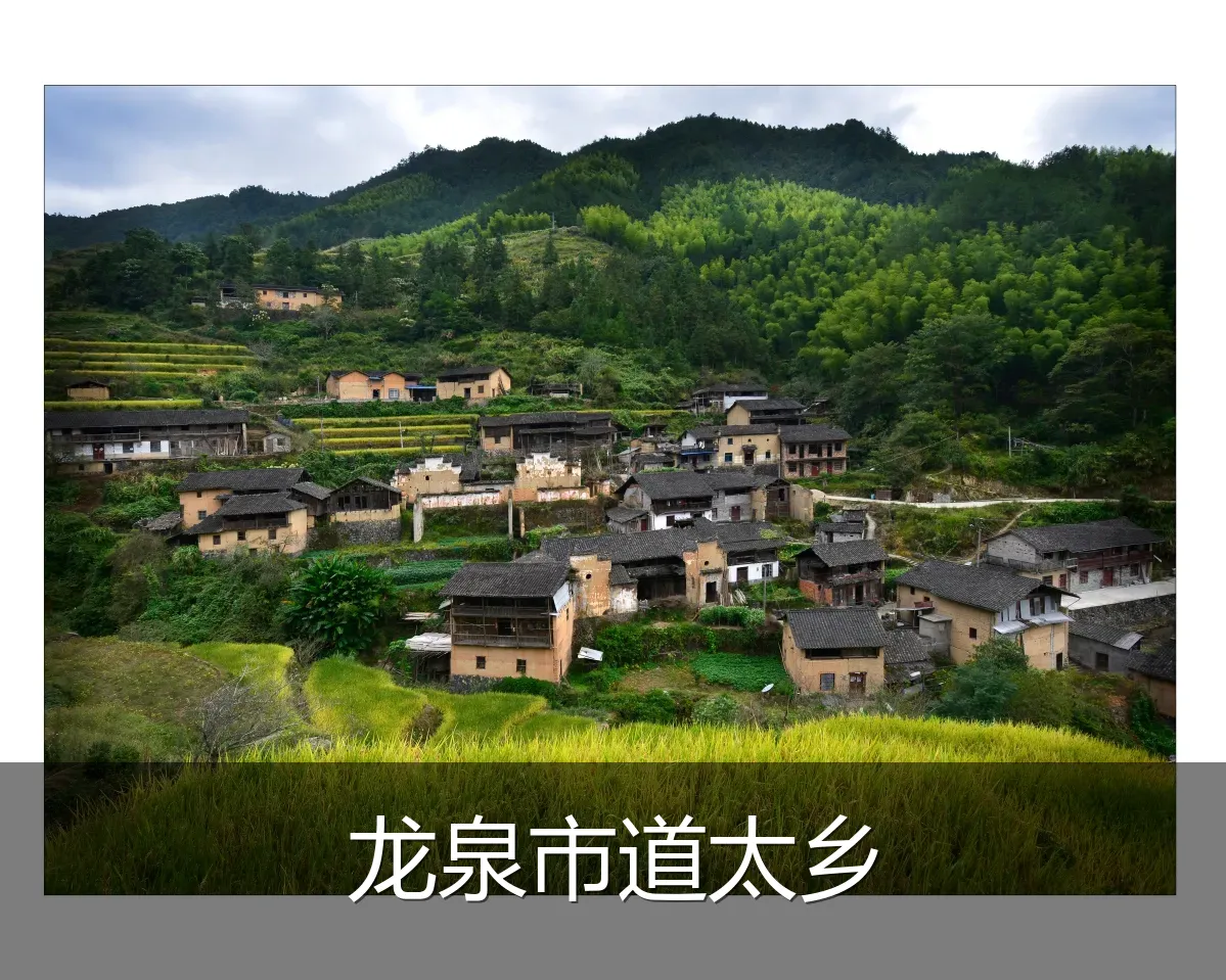 龙泉市道太乡