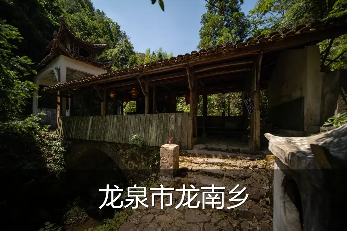 龙泉市龙南乡