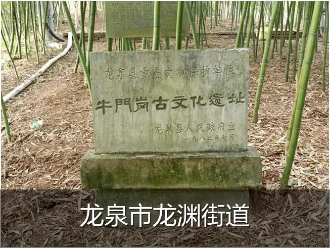 龙泉市龙渊街道