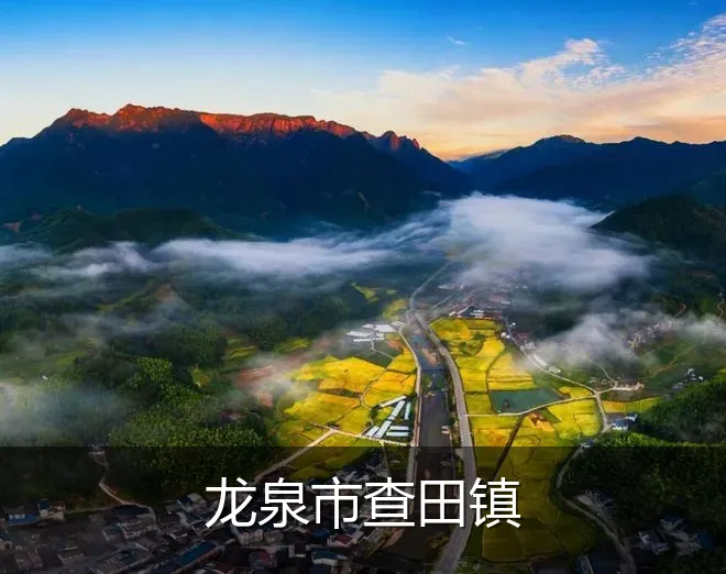 龙泉市查田镇