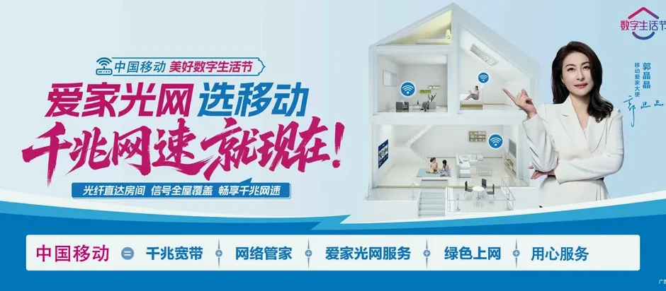 龙泉市龙泉市小梅镇 移动宽带